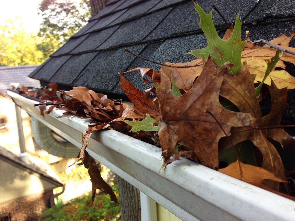 Roofers Dublin - Gutter Maintenance