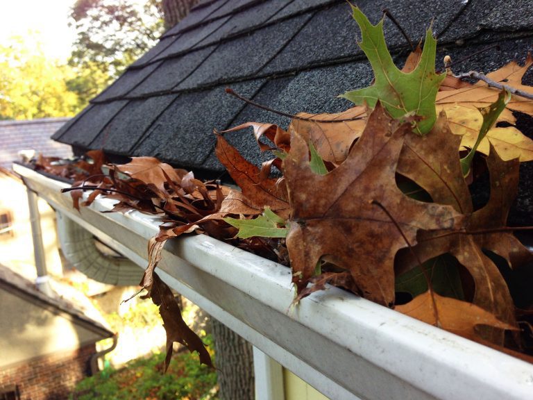 Gutter Maintenance Year Round Guide Dublin Roofers